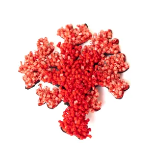 coral brooch