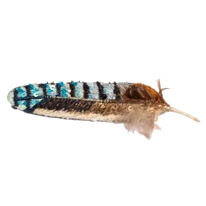 eurasian jay feather brooch