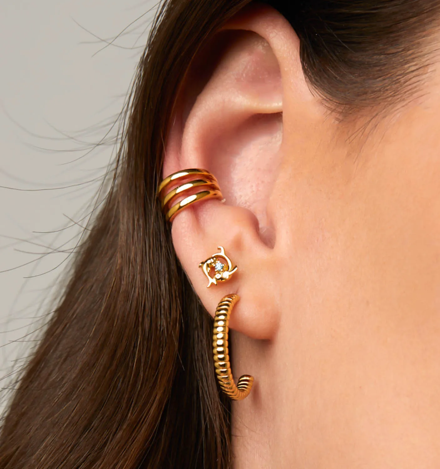 Pisces Earrings