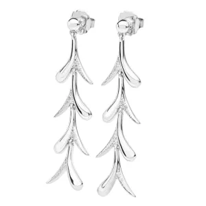 Sycamore Earrings